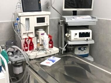 Özel Çayyolu Hayvan Hastanesi - Ankara Hayvan Hastanesi