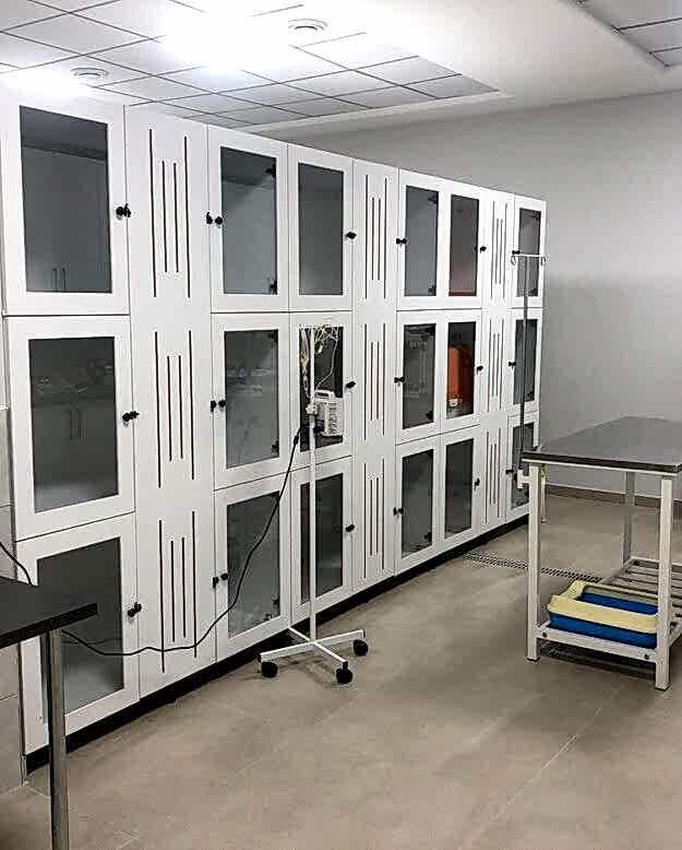 Özel Çayyolu Hayvan Hastanesi - Ankara Hayvan Hastanesi