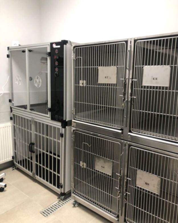 Özel Çayyolu Hayvan Hastanesi - Ankara Hayvan Hastanesi