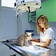 Özel Çayyolu Hayvan Hastanesi - Ankara Hayvan Hastanesi Özel Çayyolu Hayvan Hastanesi - Ankara Hayvan Hastanesi