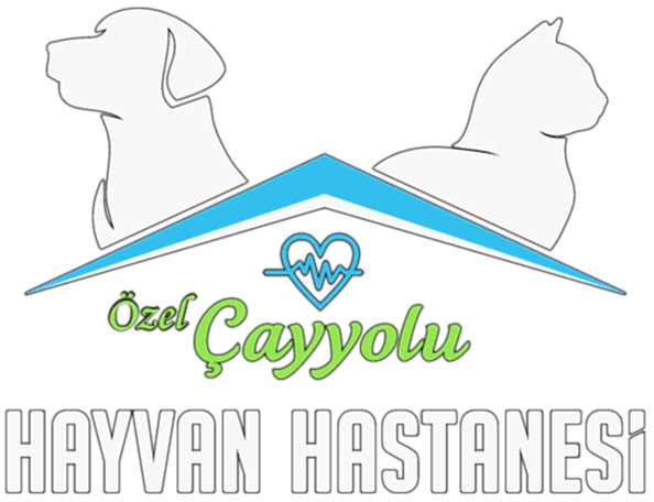 Çayyolu Hayvan Hastanesi