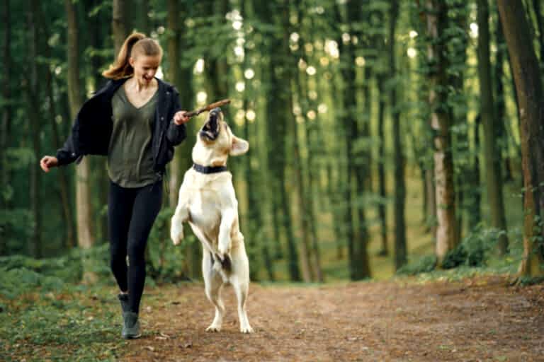 Portrait of a woman with her beautiful dog